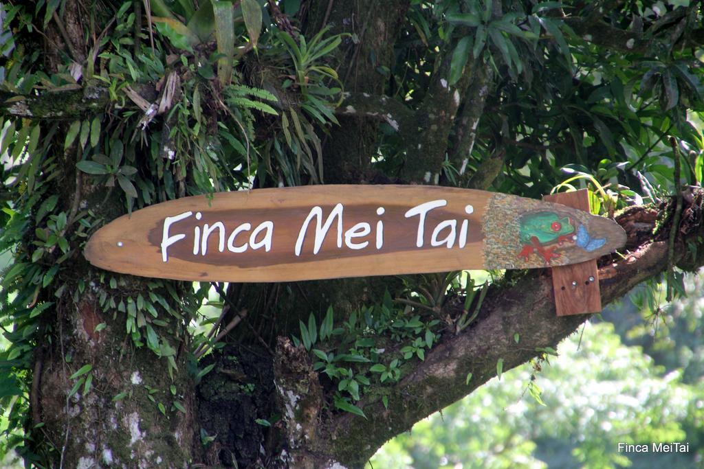Finca Mei Tai B&B&Cacao Farm Bijagua Exterior foto