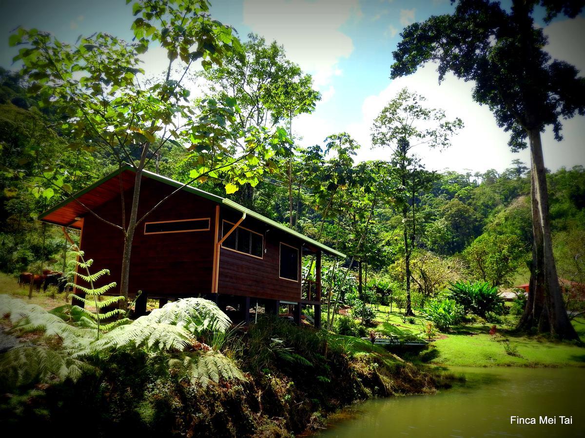 Finca Mei Tai B&B&Cacao Farm Bijagua Exterior foto