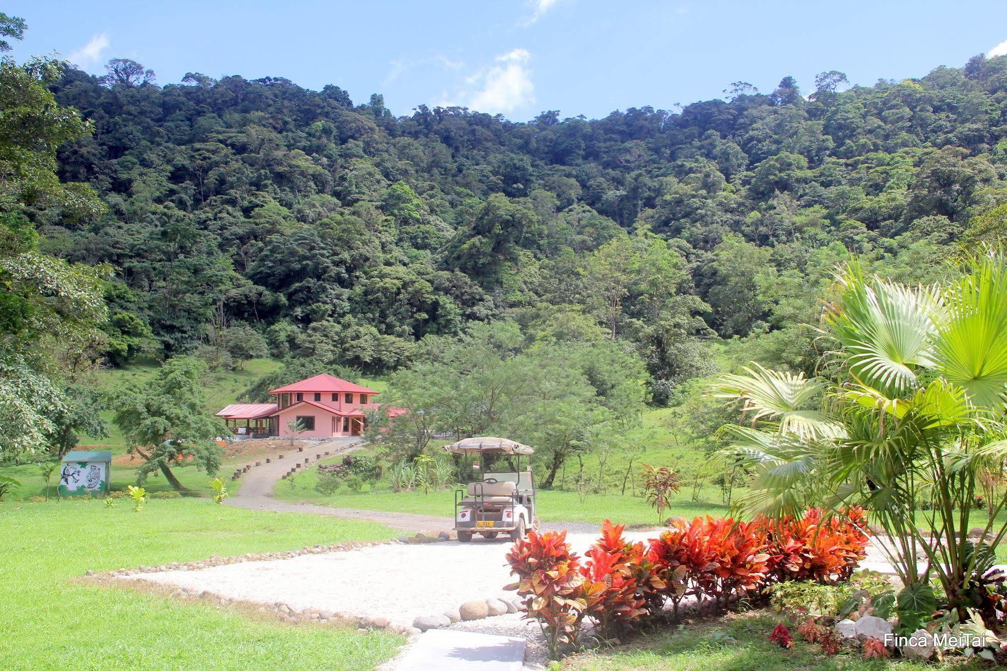 Finca Mei Tai B&B&Cacao Farm Bijagua Exterior foto