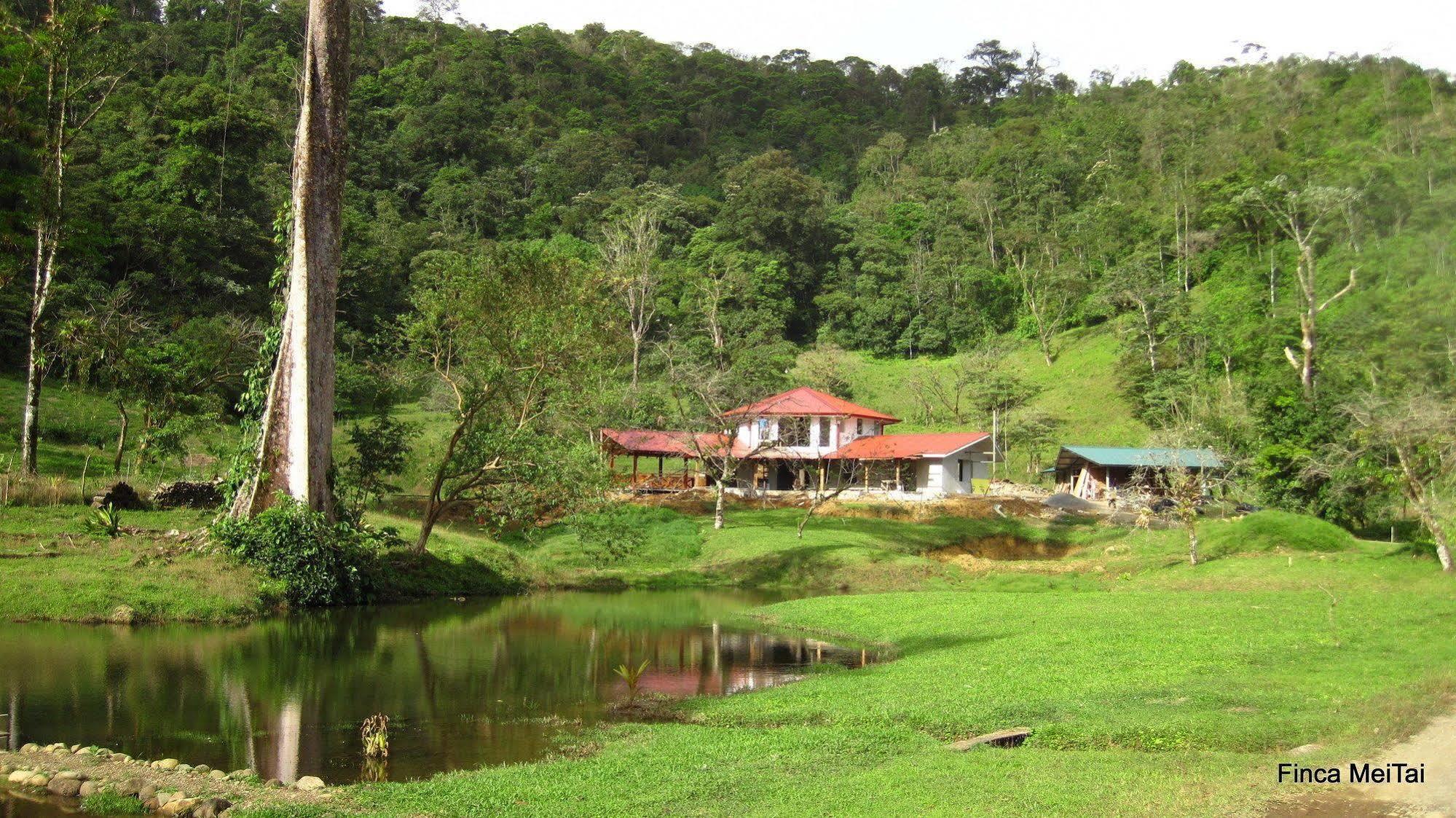 Finca Mei Tai B&B&Cacao Farm Bijagua Exterior foto