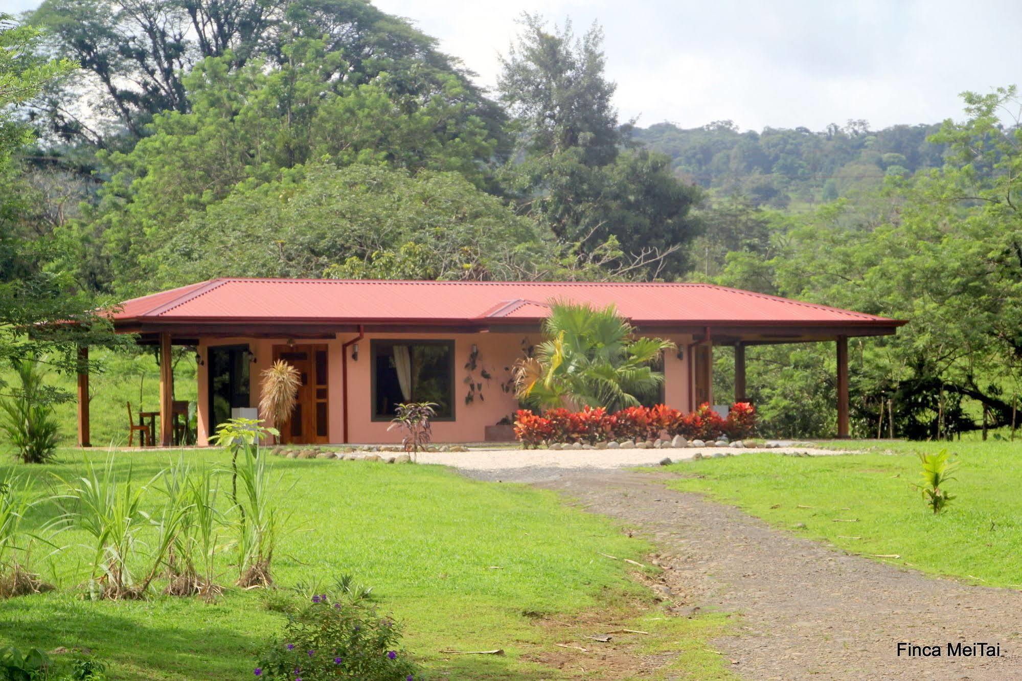Finca Mei Tai B&B&Cacao Farm Bijagua Exterior foto